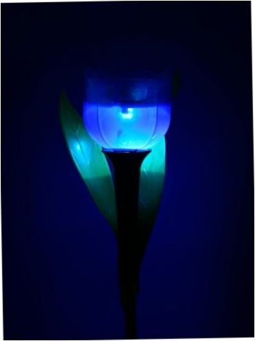 Uniel USL-C-453/PT305 Purple Tulip LED light, 0,06W, barva svítidla: černá, barva světlometu: fialová, 1 kus