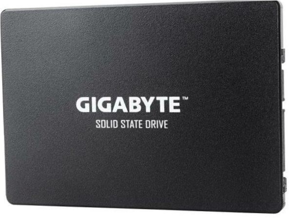 GIGABYTE 256GB SSD 256GB (GP-GSTFS31256GTND)