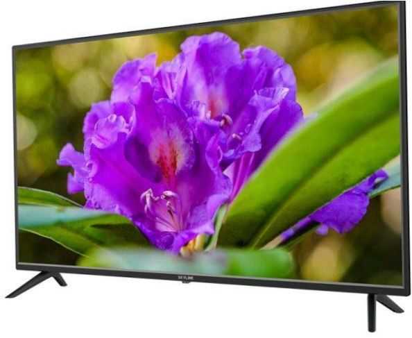 40" SkyLine 40LT5900 LED TV (2019), černá