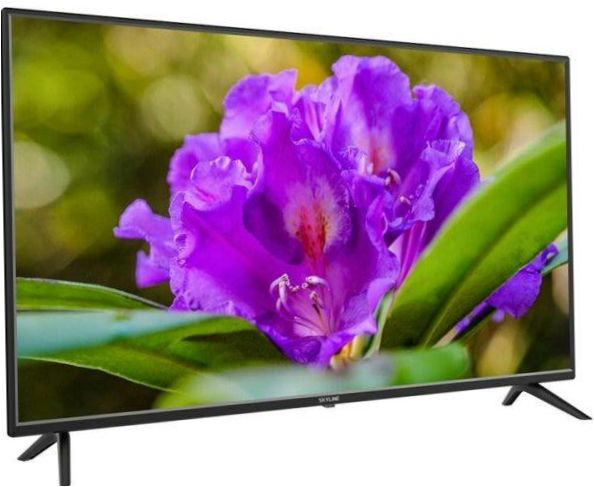 40" SkyLine 40LT5900 LED TV (2019), černá