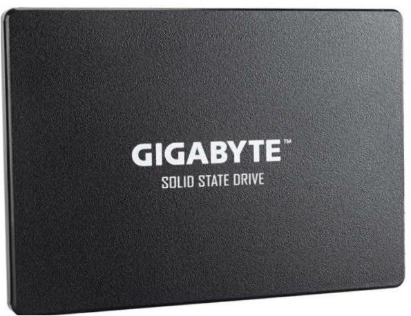 GIGABYTE 256GB SSD 256GB (GP-GSTFS31256GTND)