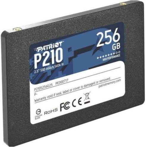 Patriot Memory 256 GB P210S256G25