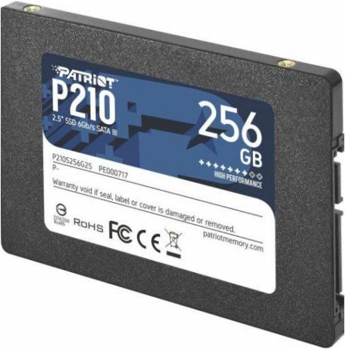 Patriot Memory 256 GB P210S256G25