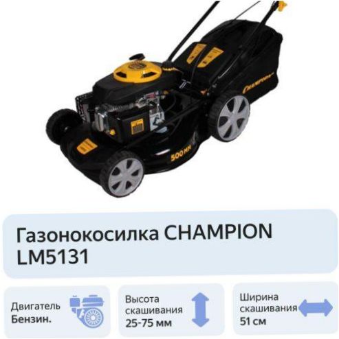 ŠAMPION LM5131
