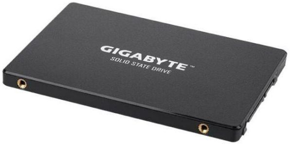 GIGABYTE 256 GB SSD 256GB (GP-GSTFS31256GTND)