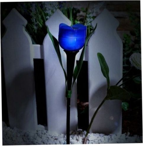 Uniel USL-C-453/PT305 Purple Tulip LED, 0,06W, barva těla: černá, barva pozadí: fialová, 1ks