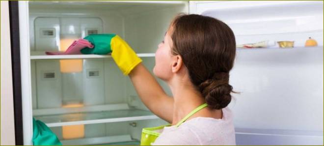 Jak rychle a správně odmrazit chladničku s mrazničkou?