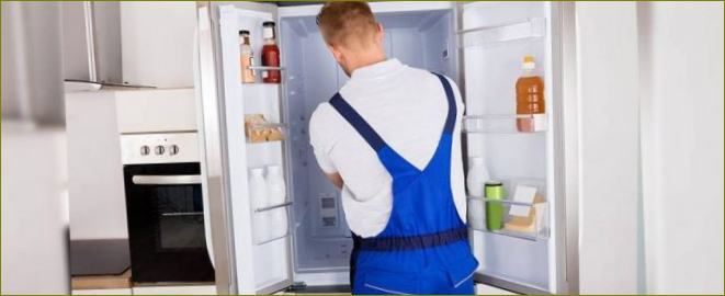 Kterou chladničku je nejlepší koupit? Výběr spolehlivé chladničky