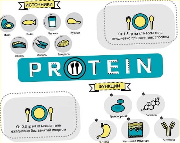 Infografika o bílkovinách