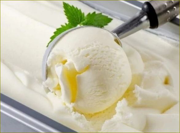 Recepty na zmrzlinu ve zmrzlinovači. Jak připravit zmrzlinu s mlékem, smetanou a vejci nebo bez nich