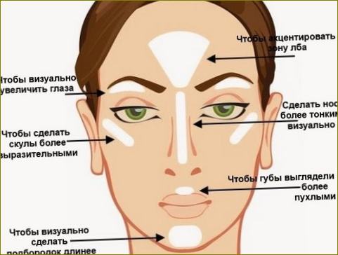 Jak používat korektor na obličej. Pokyny krok za krokem s fotografiemi, schéma: základ, tekutý, suchý, barevný, tužka, paleta
