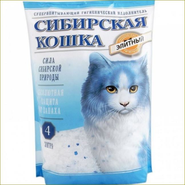 Sibiřská kočka Elite