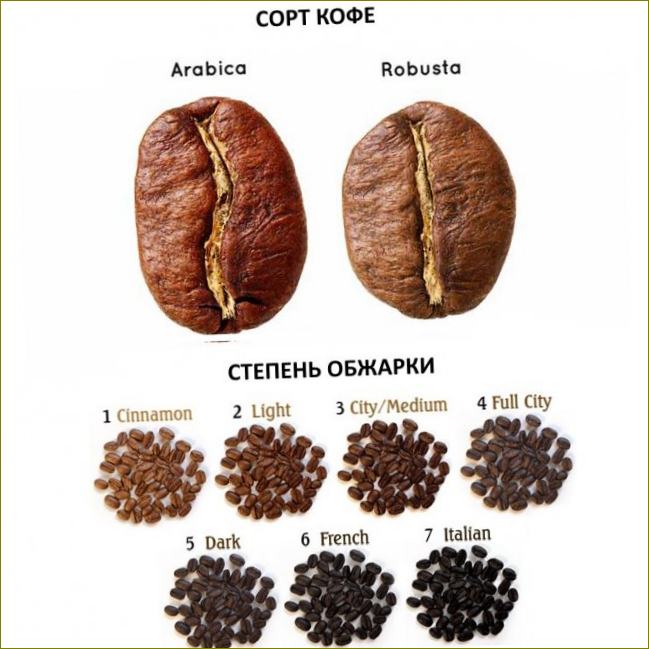 Arabica a Robusta