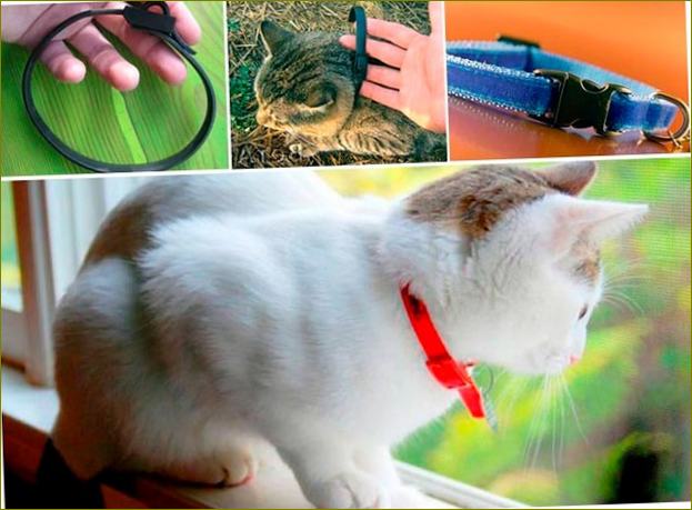 Gamma Anti-Flea Tick & Flea Treating Collar for Cats Foto