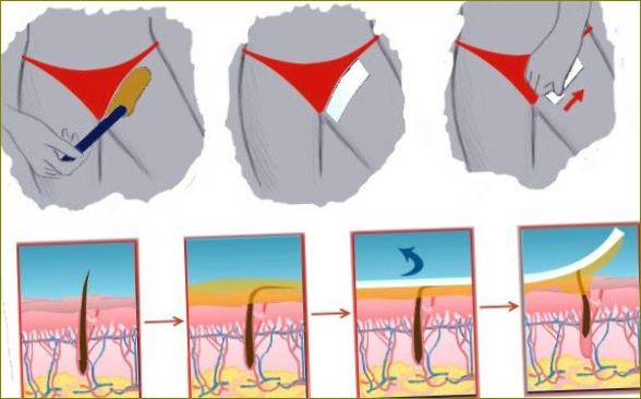 Voskování doma: oblast bikin, nohy, obličej, pravidla, voskové pásky, kuličky, granule, strojky, krémy, jak používat