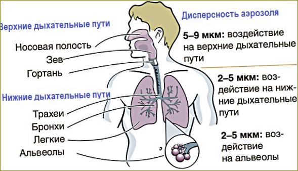 Jaký je rozdíl mezi nebulizátory a inhalátory - který je lepší?