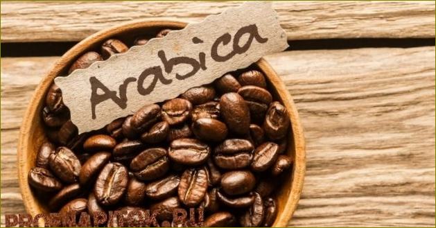 arabica