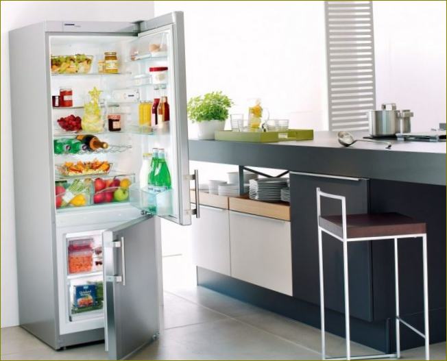 lednice v kuchyni