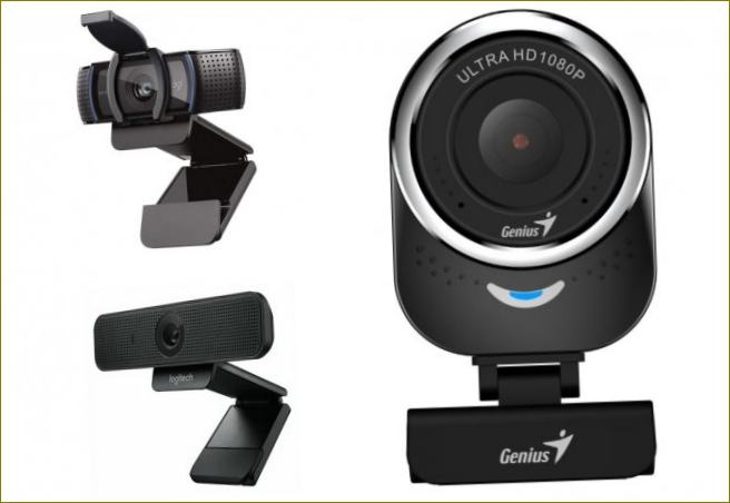 Webkamery s dobrým mikrofonem: 10 nejlepších modelů roku 2021