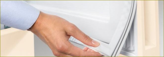 Jak vyměnit těsnicí gumu na dveřích chladničky v domácích podmínkách: příčiny rozbití, kroky výměny