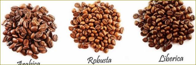 Odrůdy a typy kávových zrn, jejich vlastnosti a rozdíly