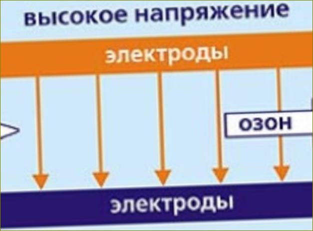 Ionizátor vzduchu a ozonátor: jaký je mezi nimi rozdíl? princip fungování, výhody a nevýhody