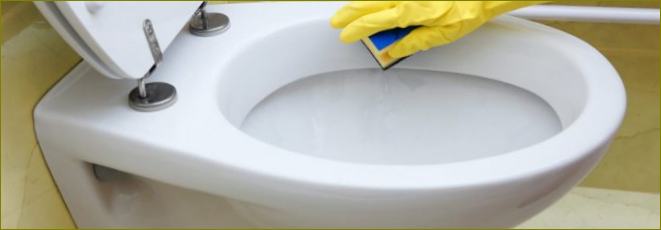 10 nejlepších čisticích prostředků na toalety