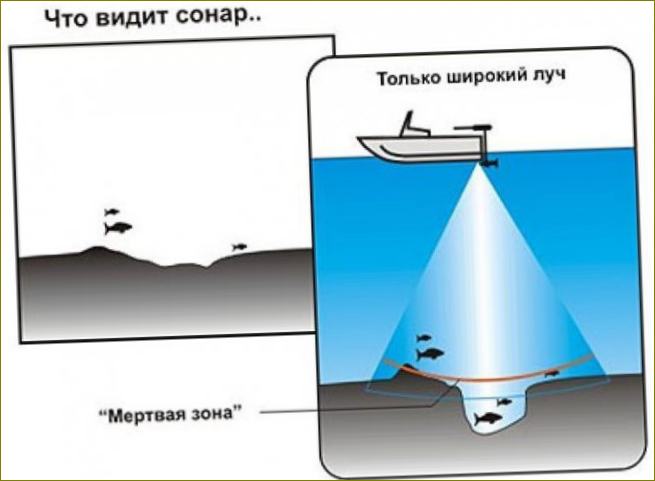 Princip činnosti sonaru