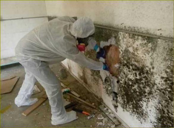 Abyste se zbavili plísní na stěnách, musíte často odstranit dokončovací materiály