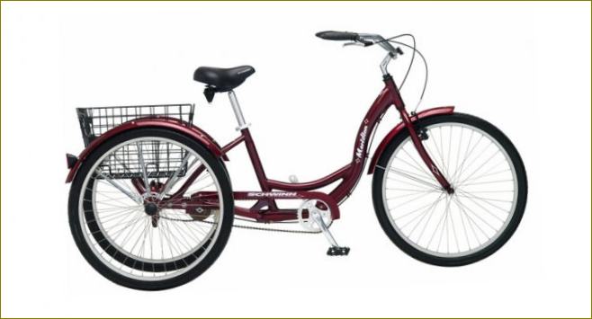 Schwinn Meridian. Foto: Schwinn