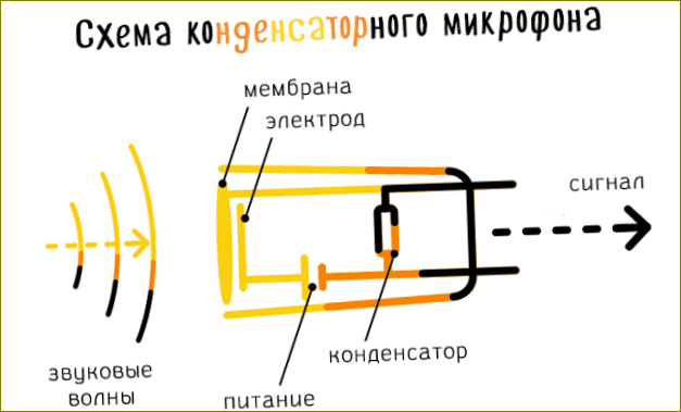 Schéma základní konstrukce kondenzátorového mikrofonu