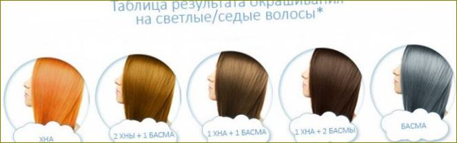 Estel, Belita, Color lux, Tonika, Concept, Loreal a Kapus Colour Balms. Hodnocení nejlepších