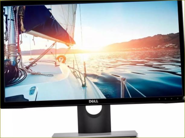 Levný monitor - Dell SE2417HG